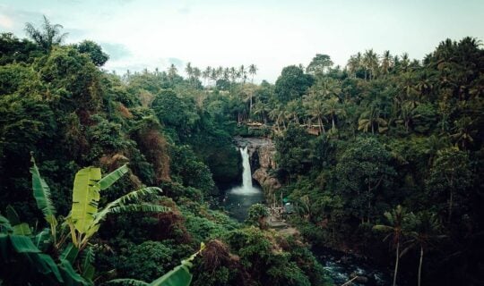 small-waterfall-in-dense-Amazon-jungle