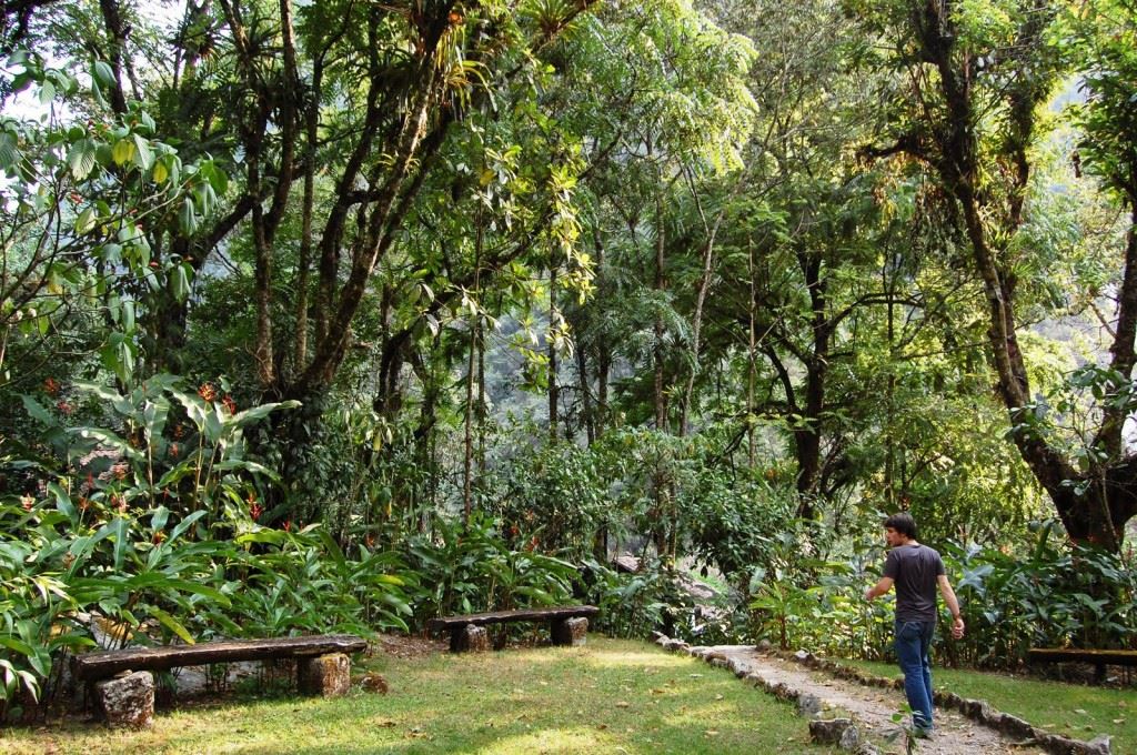 a-review-of-the-inkaterra-machu-picchu-pueblo-hotel-inkaterra-gardens