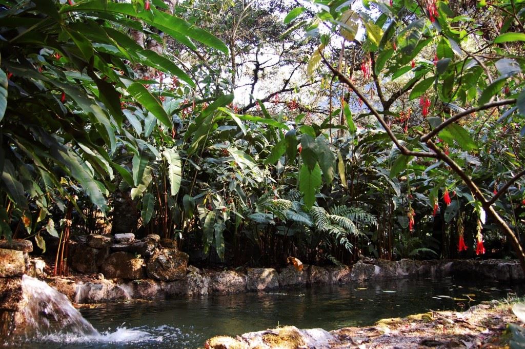 a-review-of-the-inkaterra-machu-picchu-pueblo-hotel