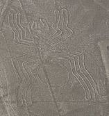 PENZA_Spider_Flickr_gg2cool_opt