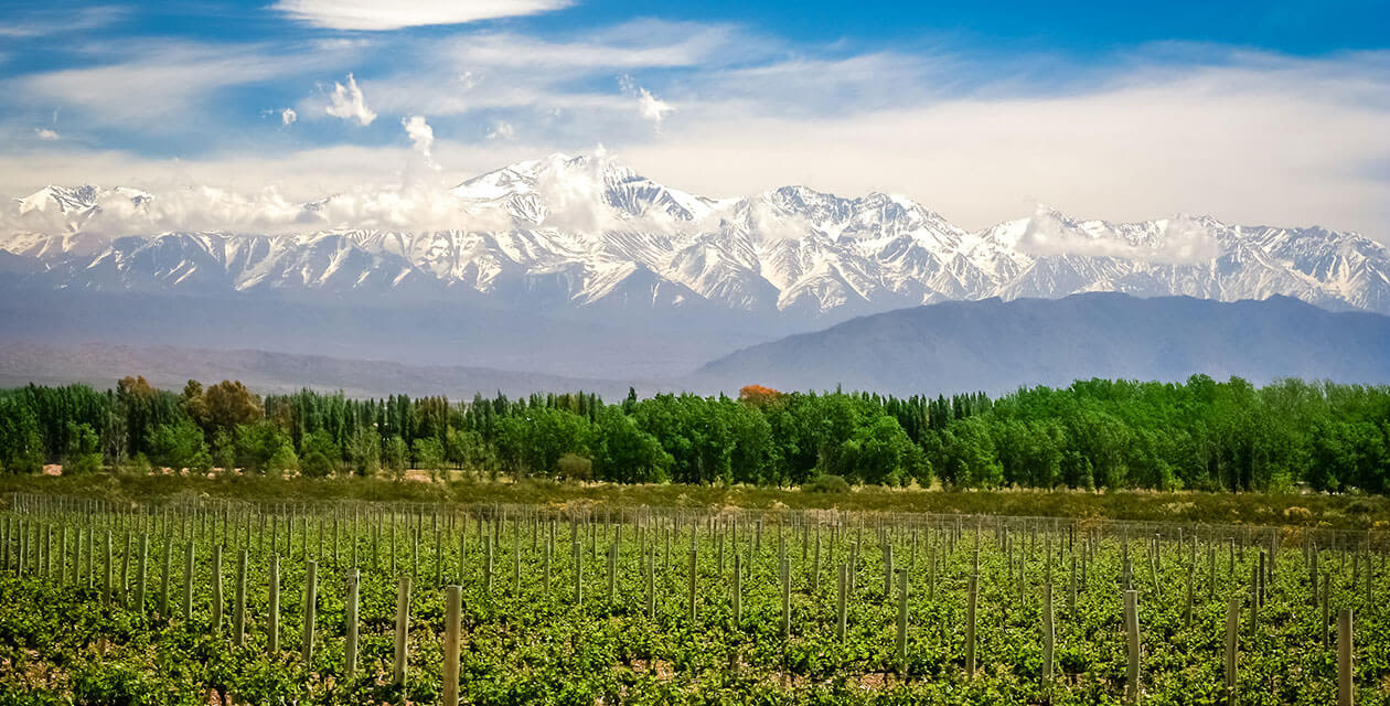 Andes scenery on mendoza winery