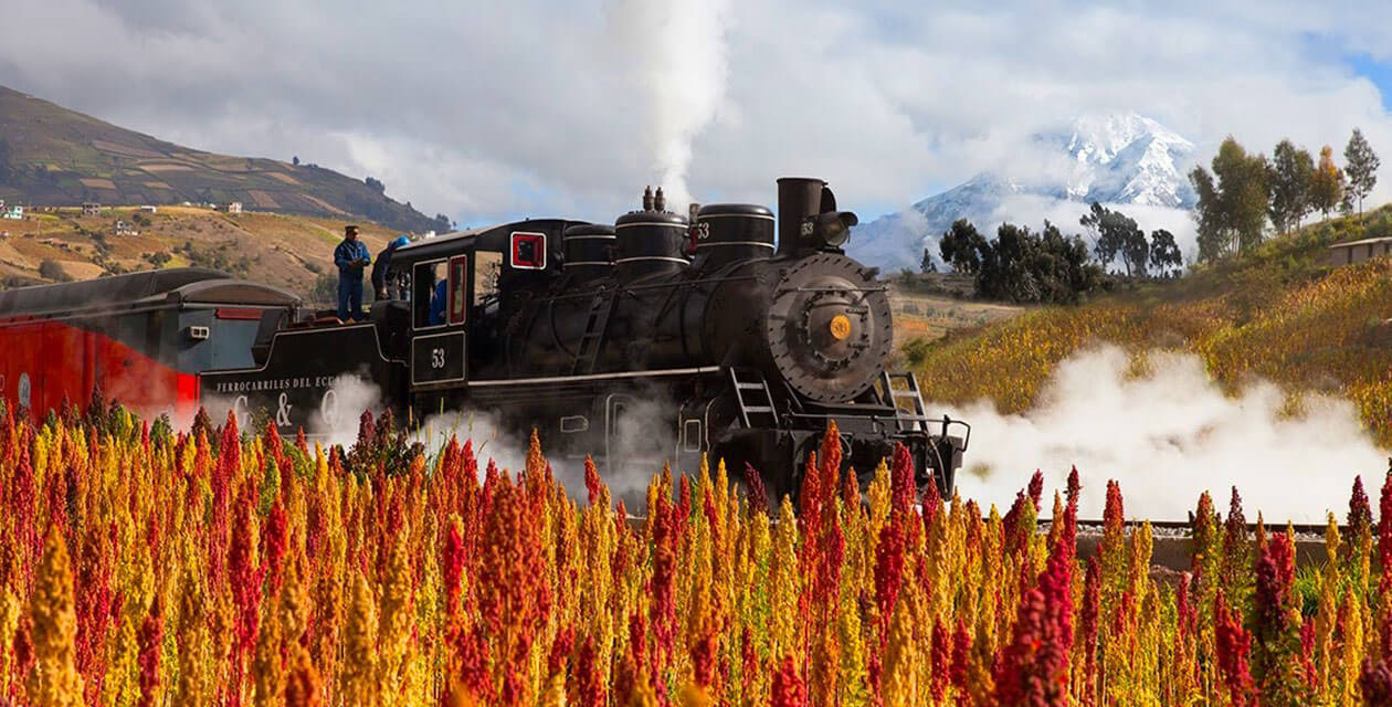 mountain views on tren cuerco 
