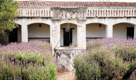 argentina-old-well-in-courtyard