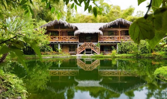 luxury-travel-lodge-surrounded-bu-jungle-and-small-lake