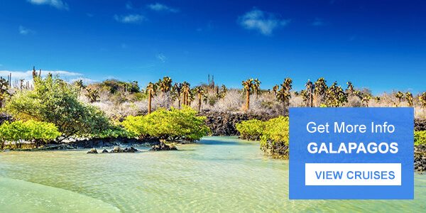 Get more info Galapagos Tours - Galapagos Legend Cruise