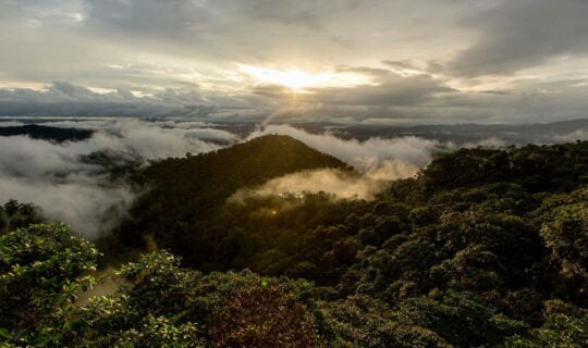 ecuador's-cloud-forest