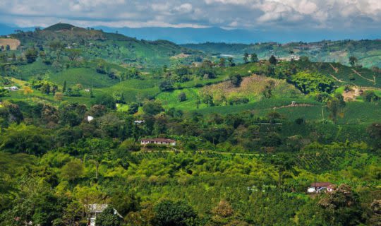 colombia-coffee-region-horizon-shot