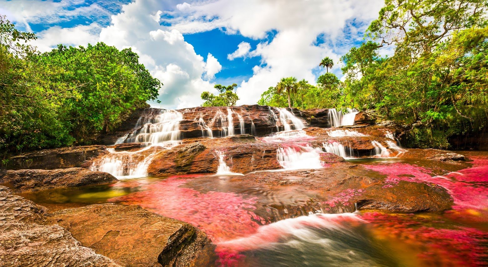 what-is-colombia-famous-for-caño-cristales