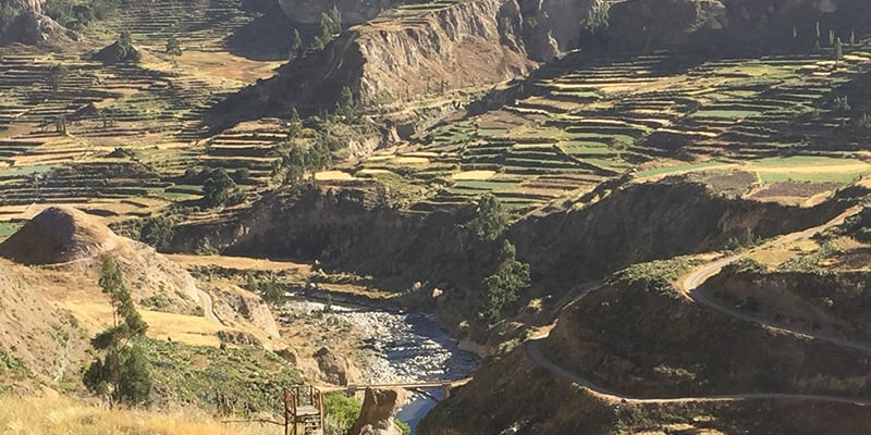 Agricultural Terraces in Peru
