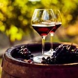 Wine Tours South America