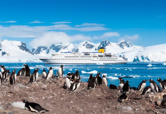 Penguins stand on shore near Antarctica cruise boat