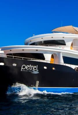 Petrel Galapagos Cruise Ship voyage