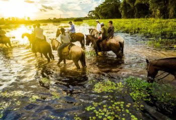 Travelers ride horseback on a tour the Pantanal wetlands