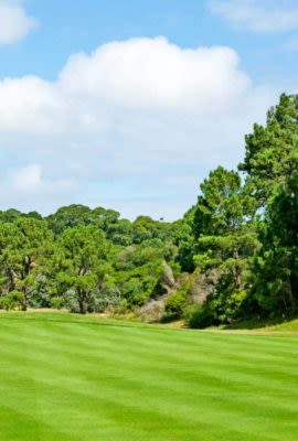 Lush golf course in Uruguay