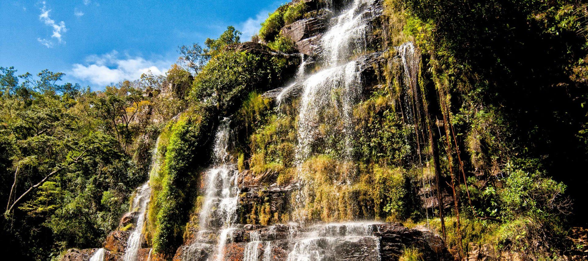 waterfall rushing down lush cliff