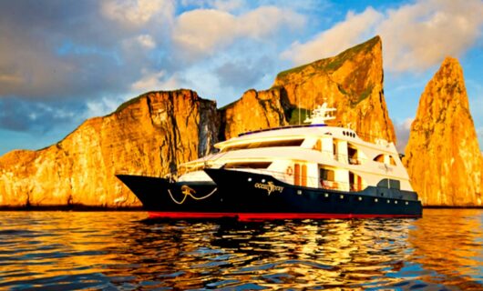Ocean Spray cruise ship at low light
