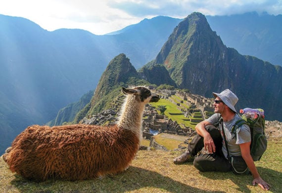 tourist sitting at the top of machu picchu peru with a llama