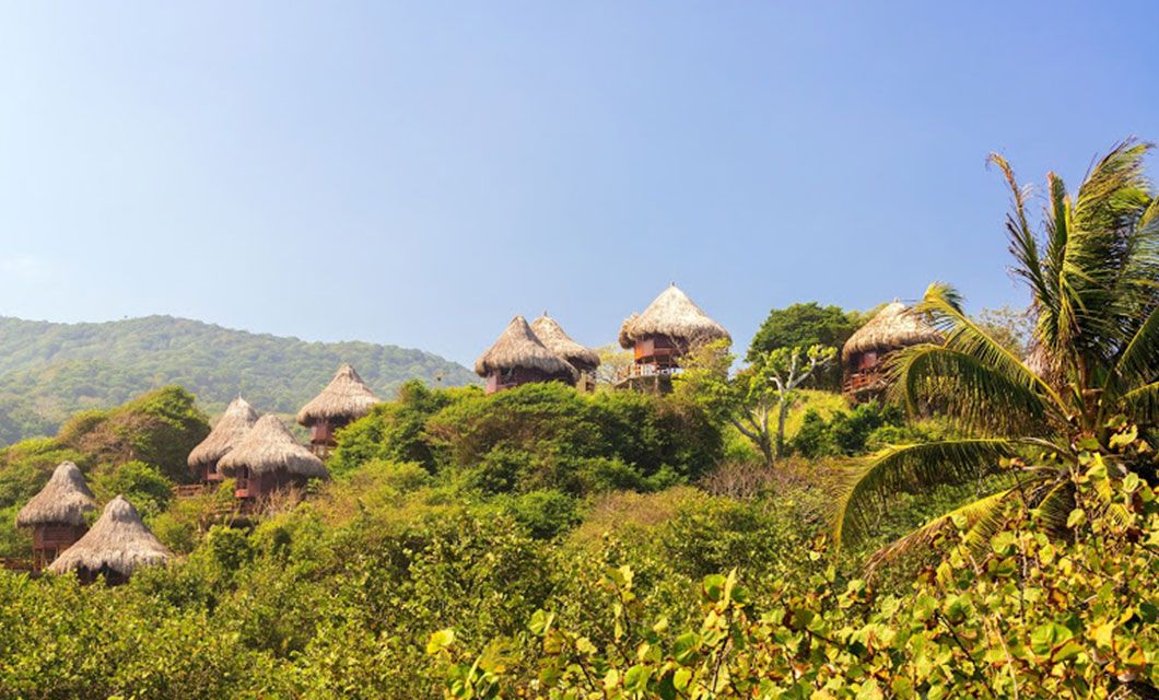 Thatched-roof huts are nestled among lush green trees on a Colombian hillside under a clear blue sky, with a palm tree in the foreground—perfect for a tranquil botanical tour.