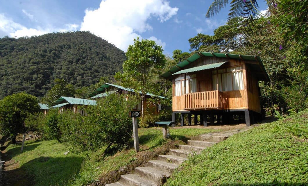 Wooden cabins with green roofs are nestled on a lush hillside in the Peruvian Amazon, surrounded by trees and greenery. Stone steps lead up as a forested mountain rises behind, evoking the serene atmosphere of Manu National Park under a partly cloudy sky.