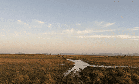 A vast, open grassland under a clear sky, with a narrow stream or muddy path winding through the golden-brown field. Distant mountains line the horizon.