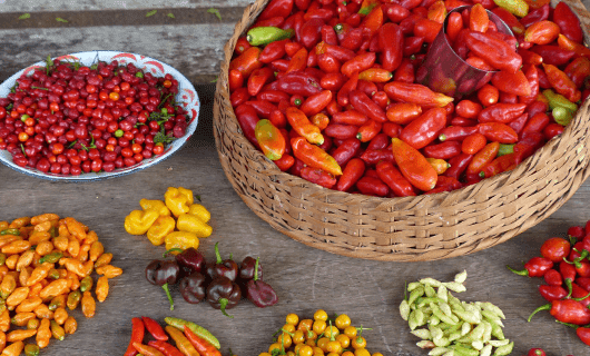 A variety of colorful chili peppers are arranged on a wooden surface, evoking the vibrant flavors you might savor on a Three Guianas Adventure Tour, with baskets of red peppers and plates surrounded by yellow, green, and orange varieties.