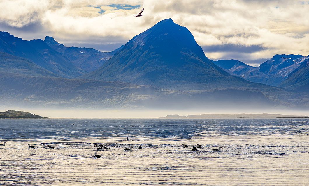 A scenic lake with birds swimming on the water, a bird flying above, and the cloud-covered mountains of Torres del Paine rising majestically in the background.