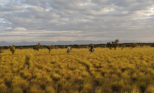 Two people ride horses through a vast grassy plain with scattered trees under a cloudy sky, mountains visible in the distant background.