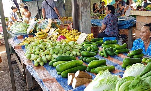 A market stall displays fresh vegetables and fruits, including cucumbers, bananas, chayotes, and leafy greens—an authentic scene you might experience on a Three Guianas Adventure Tour. Vendors and customers mingle in the background under a canopy.