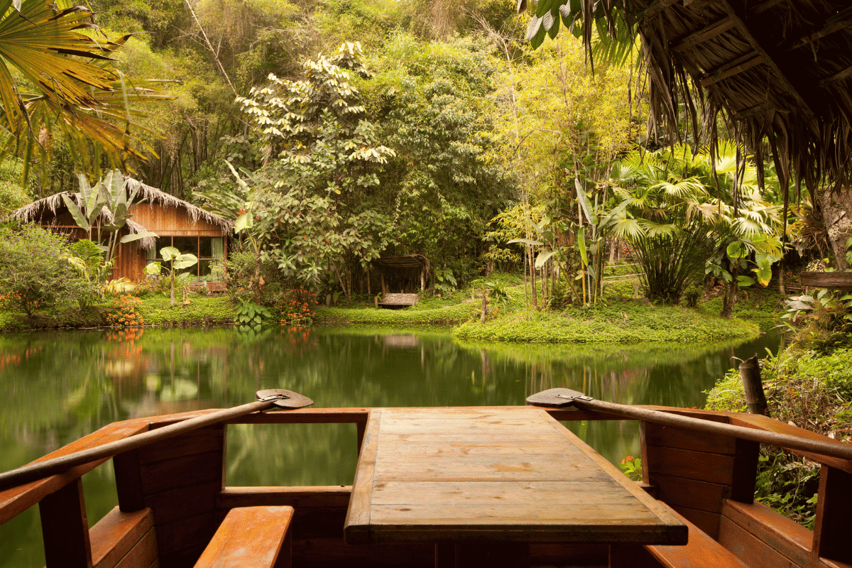 lodge nestled in the lush Amazon rainforest of Mindo, Ecuador