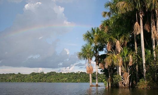 A calm river bordered by dense green forest and tall palm trees, with a faint rainbow arching across a partly cloudy blue sky near the Refugio Amazonas in the heart of the Amazon rainforest.