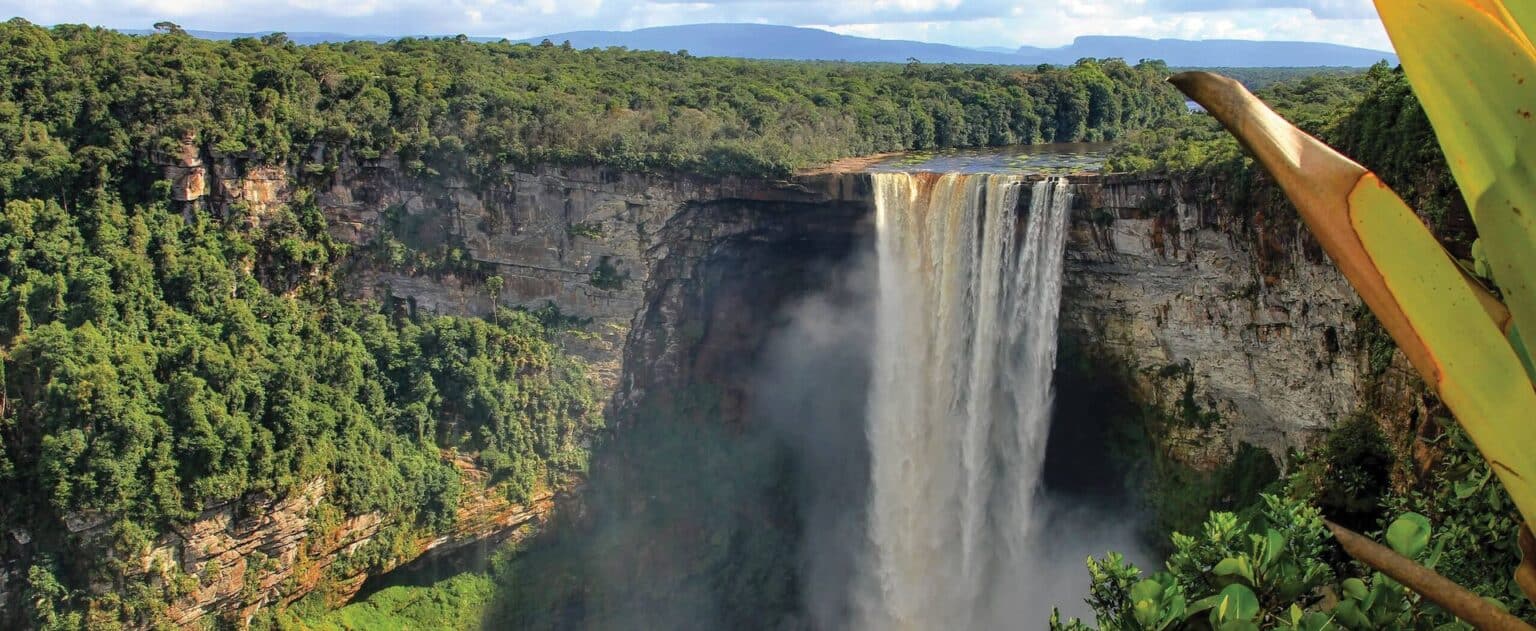 A tall, wide waterfall cascades over a cliff surrounded by dense green forest, with mist rising from the plunge pool below and mountains visible in the distance—a breathtaking sight often admired on Guyana tours. Large leaves frame the right side of the image.