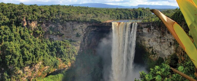 A tall, wide waterfall cascades over a cliff surrounded by dense green forest, with mist rising from the plunge pool below and mountains visible in the distance—a breathtaking sight often admired on Guyana tours. Large leaves frame the right side of the image.
