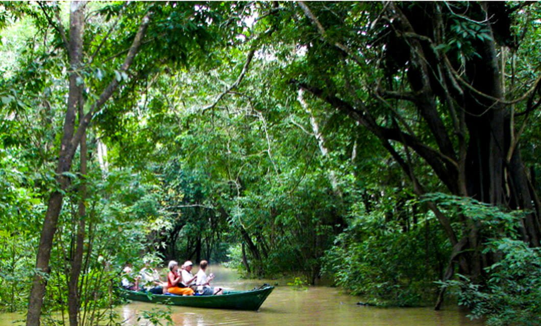 A group of people ride in a small boat through a narrow, muddy river surrounded by dense, lush green trees and jungle vegetation on a Brazil Amazon River Cruise.