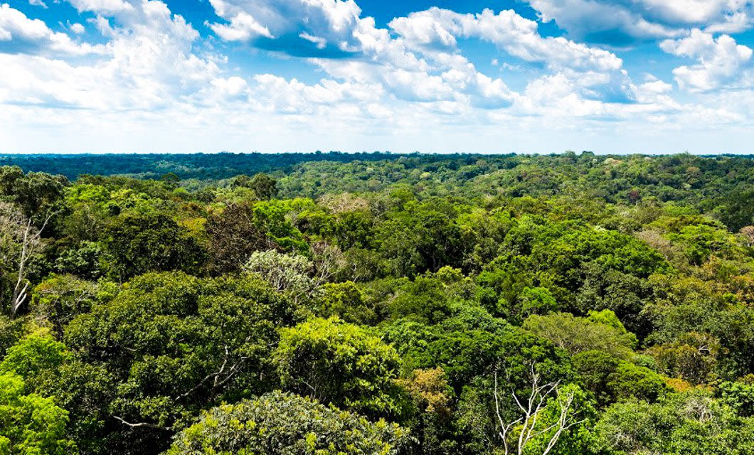 A dense, vibrant green rainforest stretches to the horizon under a partly cloudy blue sky, with treetops forming a lush canopy—an iconic scene on an unforgettable Amazon Tour.