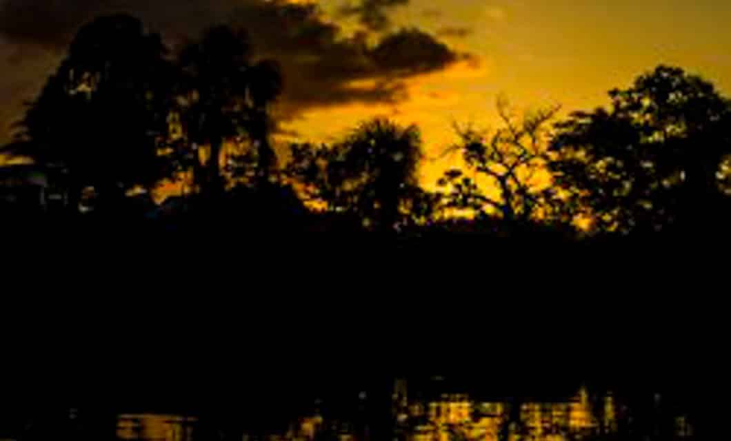 Silhouetted trees and foliage are reflected in water beneath a dramatic golden-yellow sunset sky with dark clouds, evoking the tranquil beauty found during Amazon expeditions near Tahuayo Lodge in the Tahuayo Reserve.