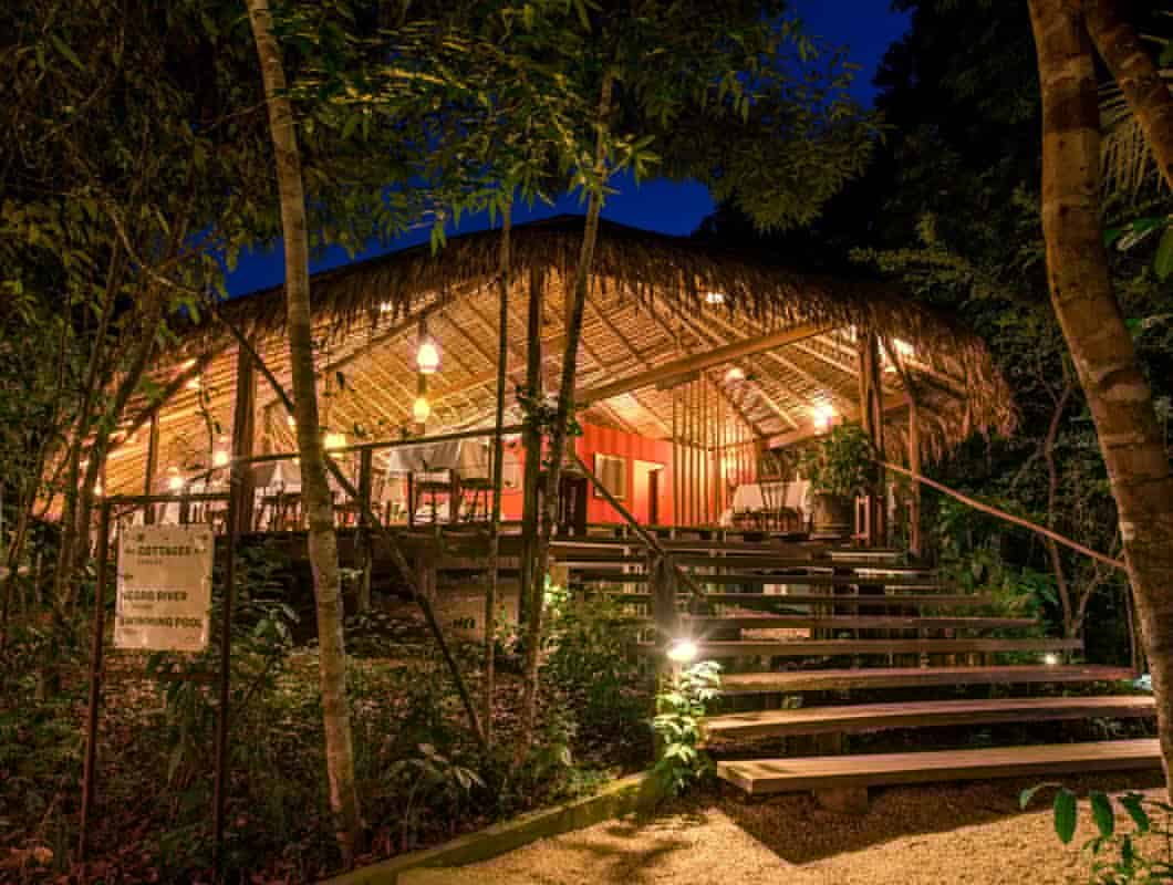 A warmly lit, open-air wooden Jungle Lodge with a thatched roof is nestled among lush trees at night in the Amazon. Wide steps lead up to the entrance and tables and chairs are visible inside, evoking the charm of Anavilhanas.