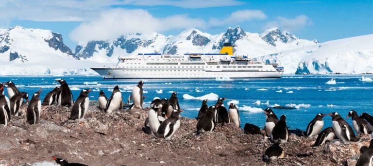 A large group of penguins stands on rocky ground by the icy sea, with a white cruise ship sailing in the background—an iconic scene from Antarctica Travel, framed by snow-covered mountains and a clear blue sky.