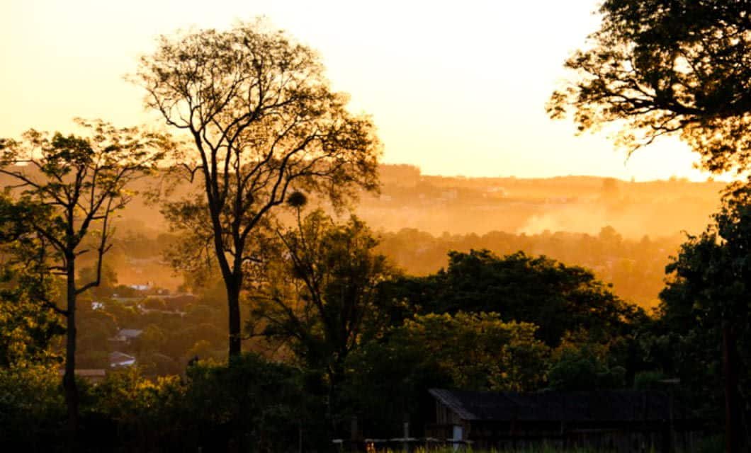Golden sunlight filters through tall trees at sunset, casting a warm glow over a rural landscape with scattered houses and gentle hills—evoking the tranquil beauty often found near the historic Jesuit Missions.