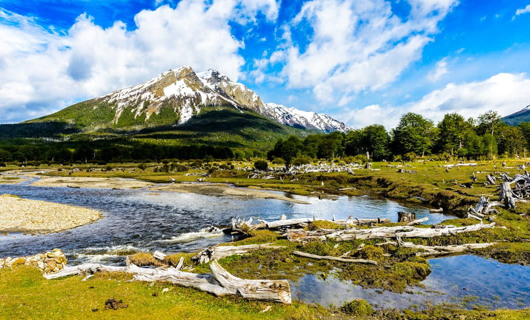 A scenic landscape with a snow-capped mountain in the background, a winding river with clear water, scattered fallen logs, lush grass, and green trees under a partly cloudy blue sky—reminiscent of Patagonia’s stunning Fuegian Fjords.