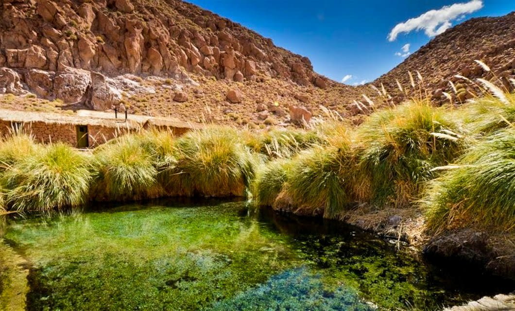 A clear natural hot spring pool surrounded by tall green grasses, set in the rocky Atacama Desert landscape near Santiago, with brown hills under a bright blue sky dotted with a few clouds.