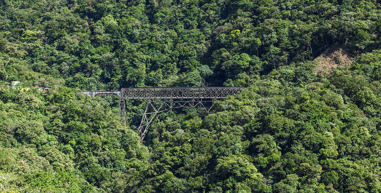 A steel railway bridge spans a deep, forested valley surrounded by dense green trees, blending into the lush tropical landscape of the Atlantic Rainforest—an iconic sight often admired on Atlantic Rainforest Tours.