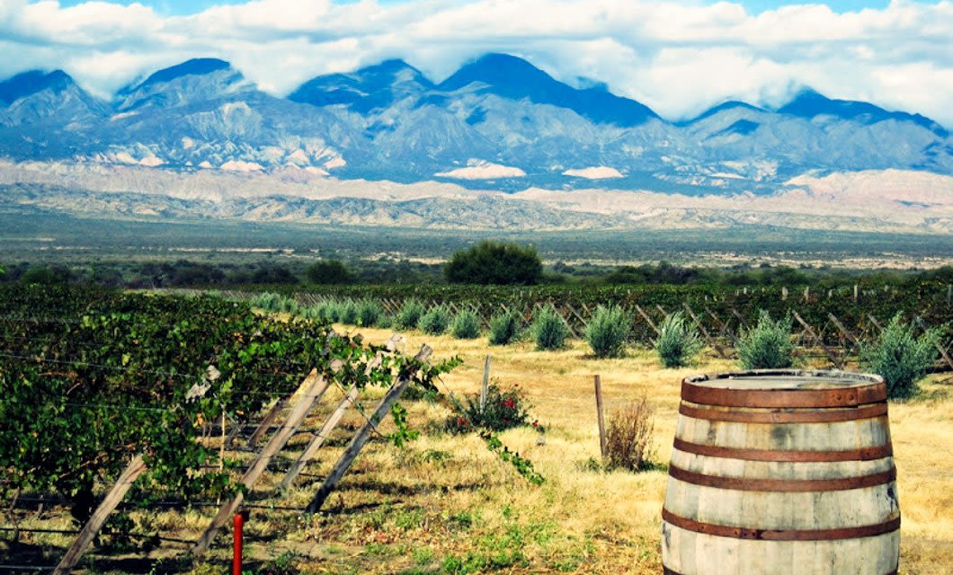 A vineyard stretches across the dry landscape of Cafayate, with rows of grapevines and a wooden barrel in the foreground, set against distant mountains under a partly cloudy sky along Salta’s famous Wine Route.