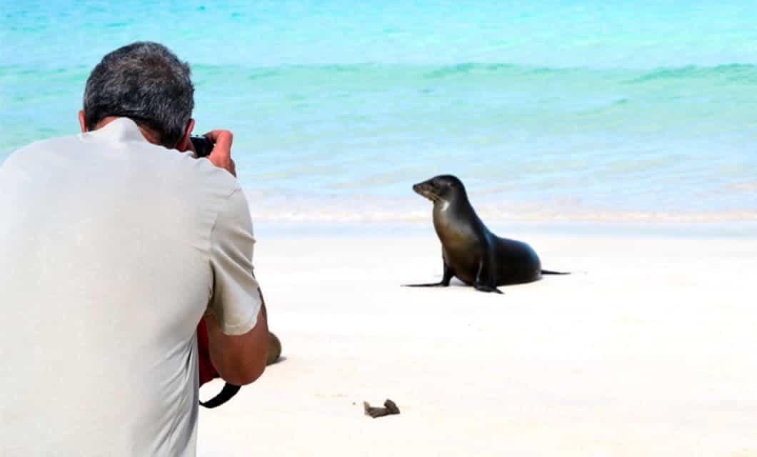A person with short hair is taking a photo of a sea lion sitting on a sandy beach near the ocean during an Ocean Spray Galapagos Cruise. The water in the background is blue and turquoise.