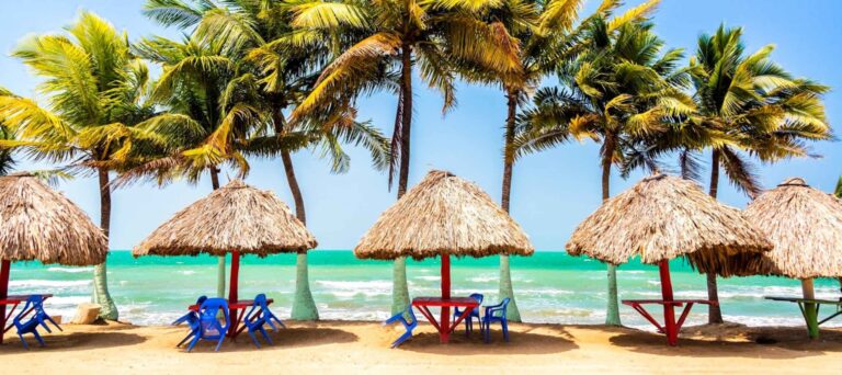 Thatched-roof huts with colorful tables and chairs sit on a sandy beach, framed by tall palm trees, with turquoise ocean waves and a clear blue sky in the background.
