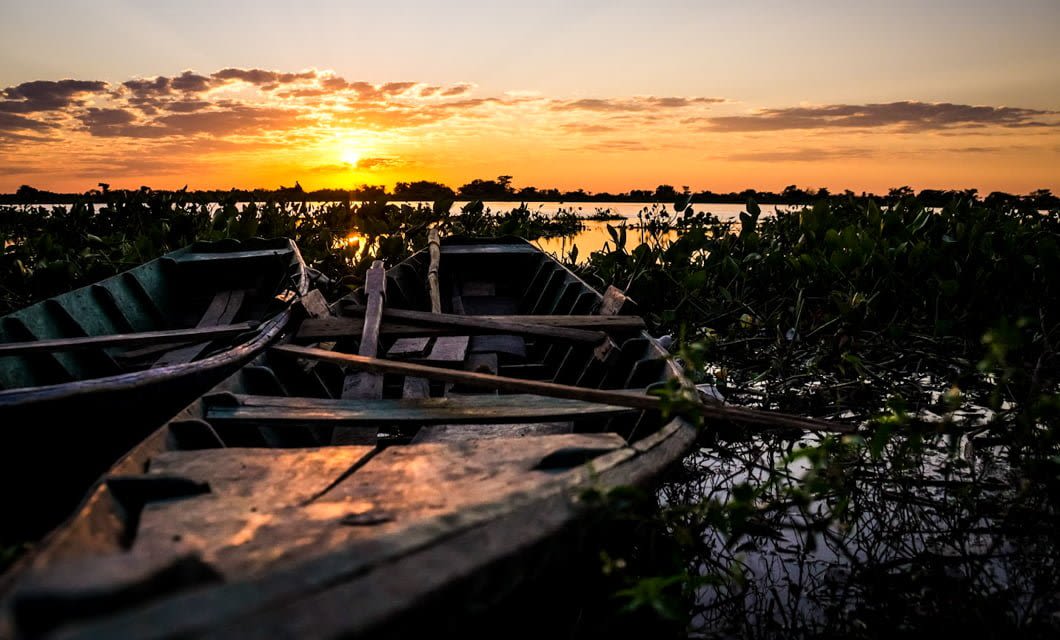 Three wooden rowboats are anchored in shallow water among green plants at sunset, with orange and purple hues lighting up the sky and reflecting on the calm lake—a serene scene perfect for a Fishing Tour in Brazil’s stunning Pantanal.