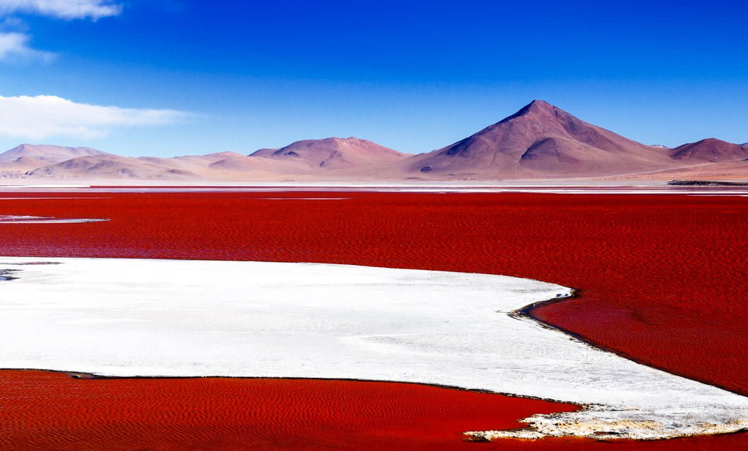 A striking landscape in the Atacama Desert with a vibrant red lake edged by a white salt crust, set against distant brown mountains and a deep blue sky with a few clouds.