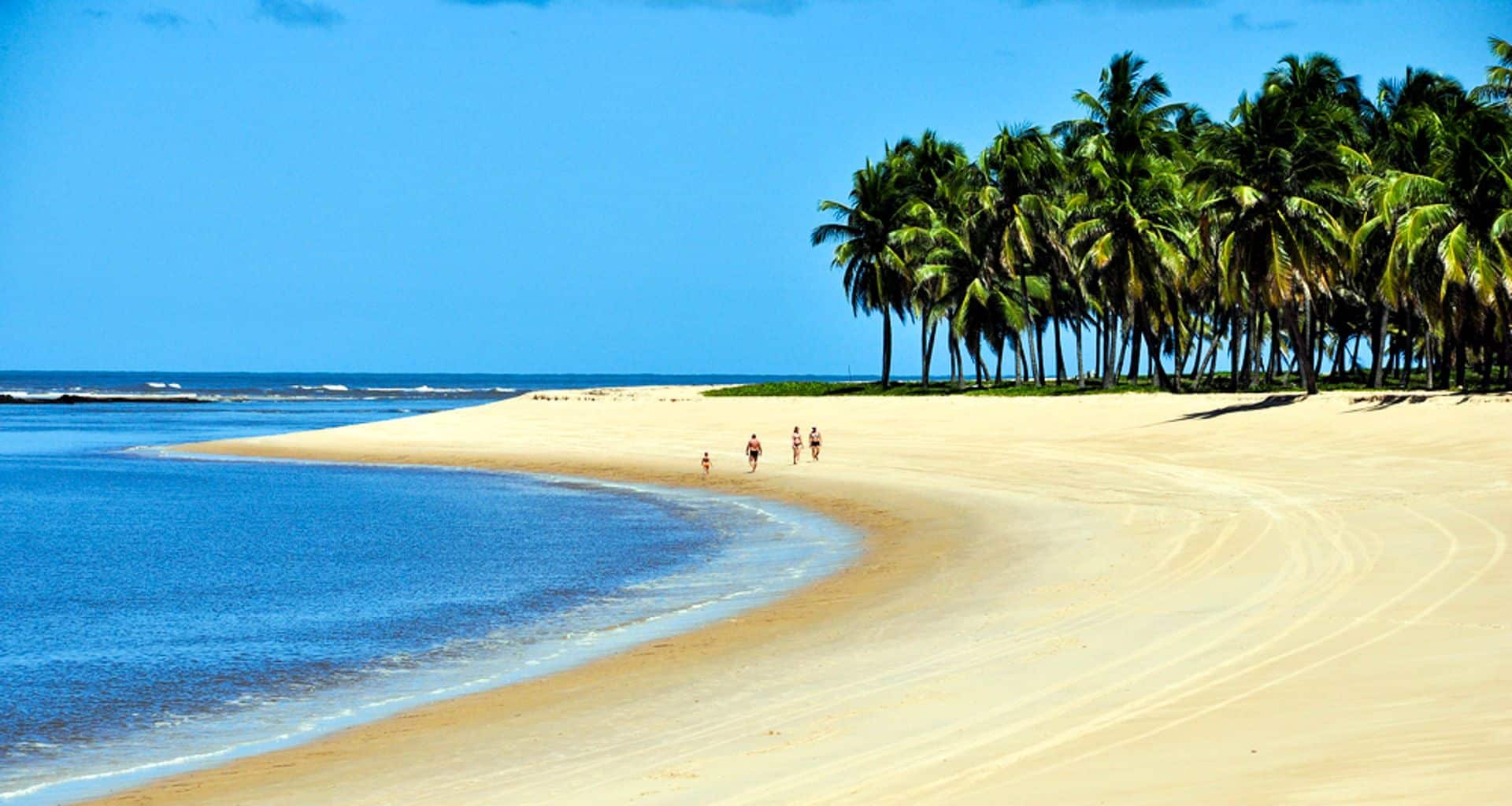A group of people walk along the wide, empty sandy beach of the Coast of the Conquerors, bordered by palm trees, with clear blue sky and calm ocean water on a sunny day.