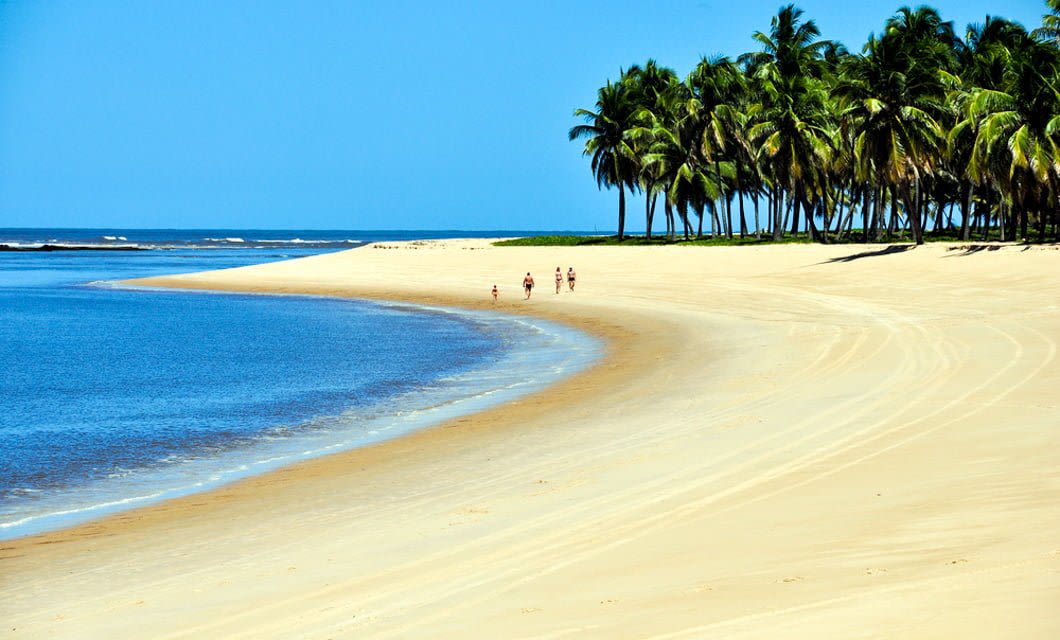 A wide, sandy beach curves along the Coast of the Conquerors, with clear blue water on one side and a cluster of tall palm trees on the other. A few people walk near the water under a bright, sunny sky.