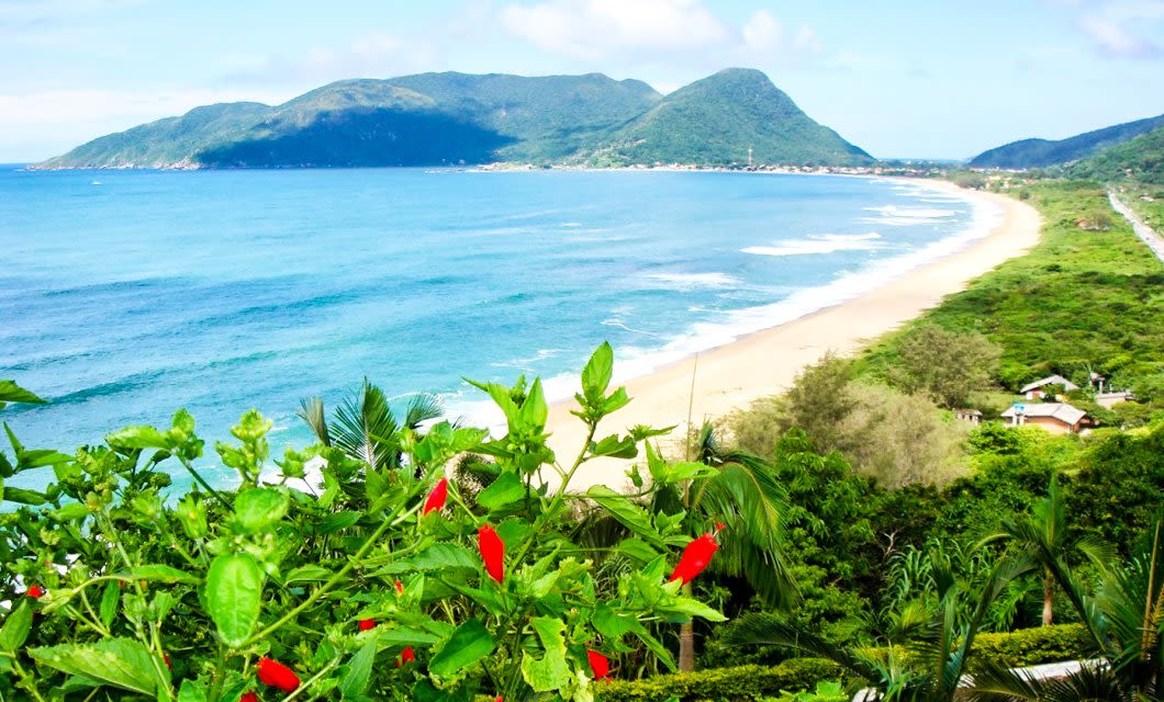 A scenic view of a tropical beach with turquoise water, gentle waves, lush green hills, and red flowers in the foreground under a bright, sunny sky—perfect for an Atlantic Rainforest Hiking or Brazil Adventure Tour.