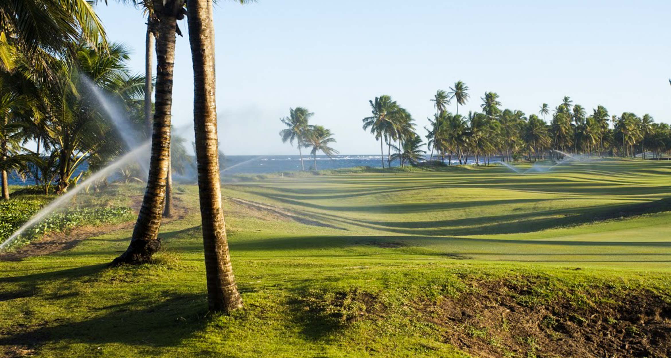 Sprinklers water a lush green golf course lined with tall palm trees, with the ocean visible in the background—a perfect scene for those seeking unforgettable Brazil Golf Packages.
